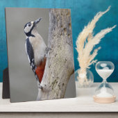 Woodpecker Fotoplatte (Seite)