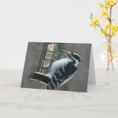 Woodpecker Geburtstagskarte Karte (Gelbe Blume)