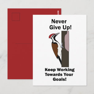 Woodpecker Gib Nie Auf Inspirierend Postkarte