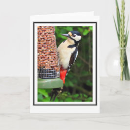 Woodpecker Greetings Card Karte