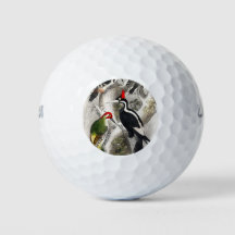 Woodpecker, Grüner Specker, Woodpecker Bird