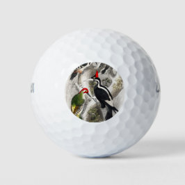 Woodpecker, Grüner Specker, Woodpecker Bird Golfball