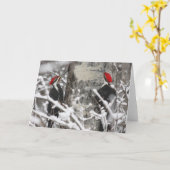 Woodpecker im Winter Karte (Gelbe Blume)