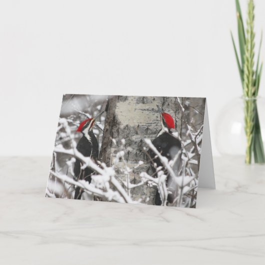 Woodpecker im Winter Karte (Vorderseite)