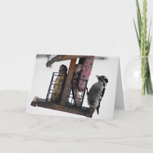 Woodpecker Karte (Vorderseite)