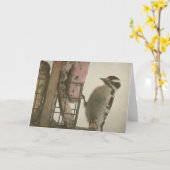Woodpecker Karte (Gelbe Blume)