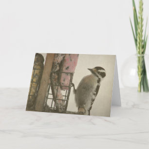 Woodpecker Karte