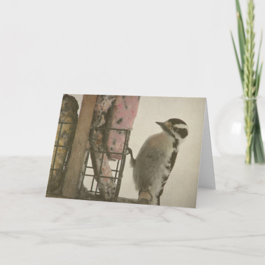 Woodpecker Karte (Vorderseite)