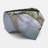 Woodpecker-Krawatte Krawatte (Gerollt)