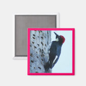 Woodpecker Magnet (Vorderseite/Rückseite)