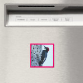 Woodpecker Magnet (In Situ (Geschirrspüler))