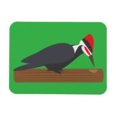 Woodpecker Magnet (Horizontal)