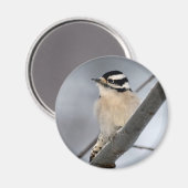 Woodpecker Magnet (Vorderseite/Rückseite)