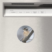 Woodpecker Magnet (In Situ (Geschirrspüler))