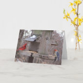 Woodpecker&Male Kardinal Karte (Gelbe Blume)