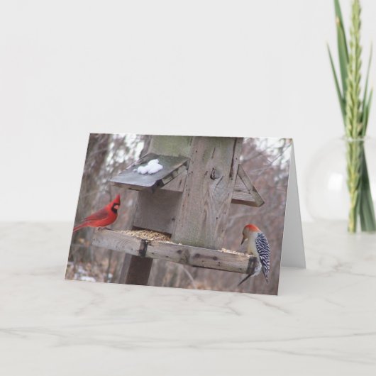 Woodpecker&Male Kardinal Karte (Vorderseite)