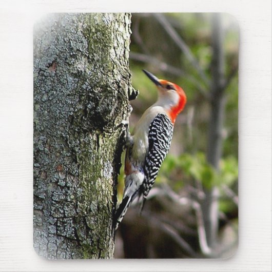 Woodpecker Mousepad (Vorne)