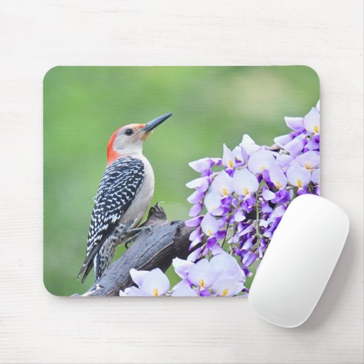 Woodpecker Mousepad (Mit Mouse)