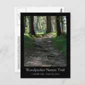 Woodpecker Naturlehrpfad Postkarte (Vorne/Hinten)