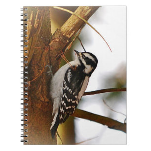 Woodpecker-Notebook Notizblock