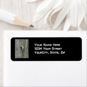 Woodpecker-Objekte herunterladen (Insitu)