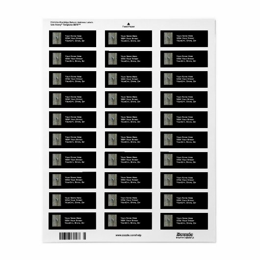 Woodpecker-Objekte herunterladen (Vorne)