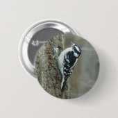 Woodpecker-Objekte herunterladen Button (Vorne & Hinten)