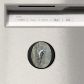 Woodpecker-Objekte herunterladen Magnet (In Situ (Geschirrspüler))