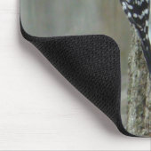 Woodpecker-Objekte herunterladen Mousepad (Ecke)