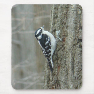 Woodpecker-Objekte herunterladen Mousepad