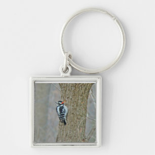 Woodpecker-Objekte herunterladen Schlüsselanhänger