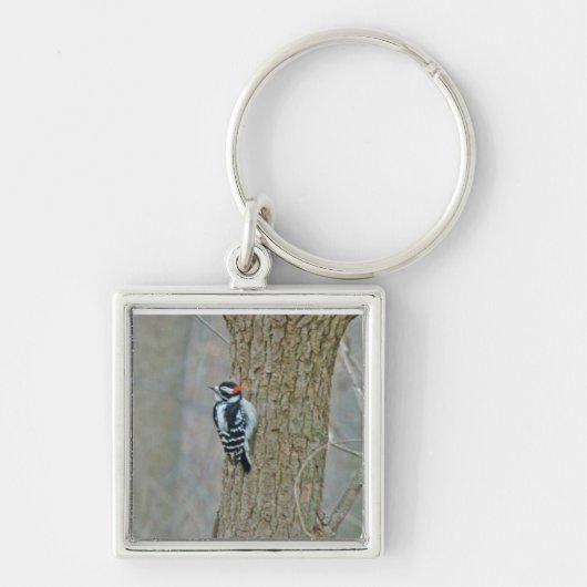 Woodpecker-Objekte herunterladen Schlüsselanhänger (Vorne)