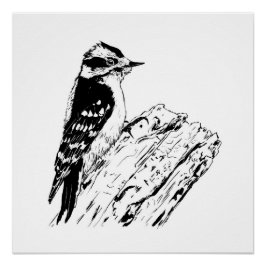 Woodpecker picture/ print / black and white poster