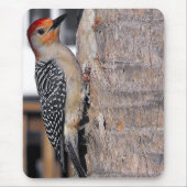 Woodpecker-Portrait Mousepad (Vorne)