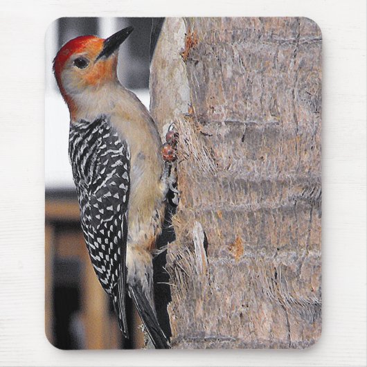 Woodpecker-Portrait Mousepad (Vorne)