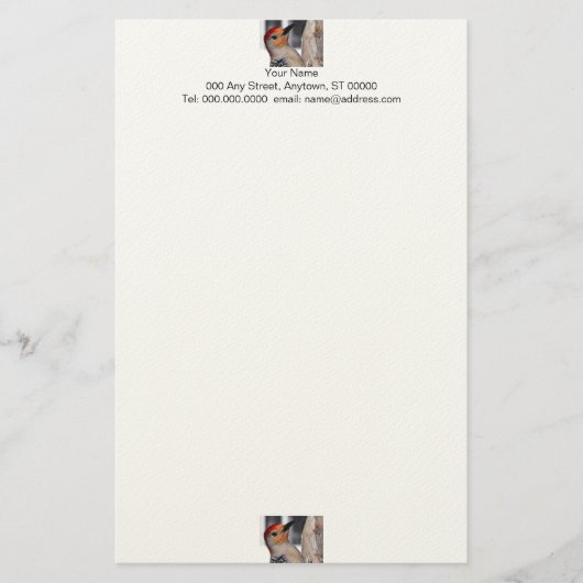 Woodpecker Portrait Stationery Briefpapier (Vorderseite)