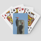 Woodpecker Posing on a Pole Fotografy Spielkarten (Rückseite)