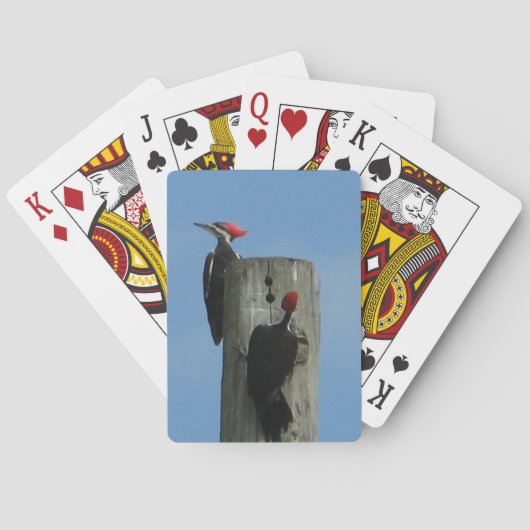 Woodpecker Posing on a Pole Fotografy Spielkarten (Rückseite)