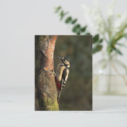 Woodpecker Postcard Postkarte (Stehend Vorderseite)
