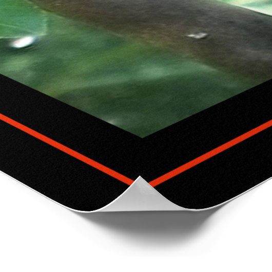 Woodpecker Poster (Ecke)