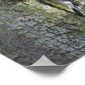 Woodpecker Poster (Ecke)