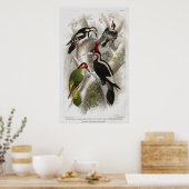 Woodpecker Poster (Küche)