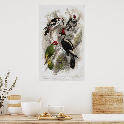 Woodpecker Poster (Küche)