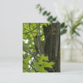 Woodpecker-Postkarte Postkarte (Stehend Vorderseite)