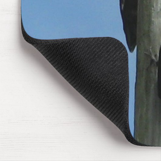 Woodpeckers Bird Mousepad (Ecke)