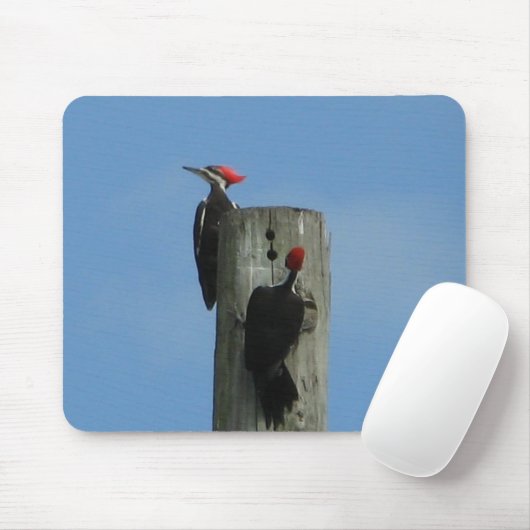 Woodpeckers Bird Mousepad (Mit Mouse)
