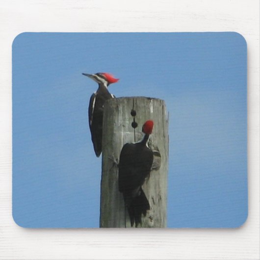 Woodpeckers Bird Mousepad (Vorne)