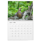 Woodpeckers Calendar Kalender (Mär 2026)