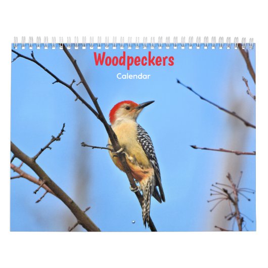 Woodpeckers Calendar Kalender (Titelbild)