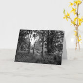 Woods Bute Park, Cardiff Grußkarte Karte (Gelbe Blume)